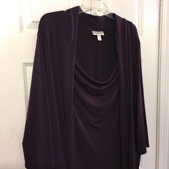 Dress Barn Plum One Piece Dress & Jacket - Picture 2 of 8